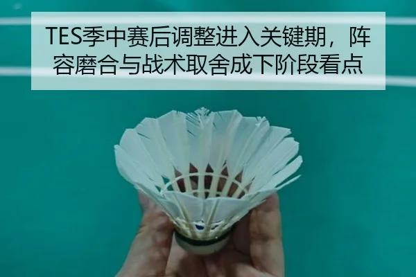 TES季中赛后调整进入关键期，阵容磨合与战术取舍成下阶段看点